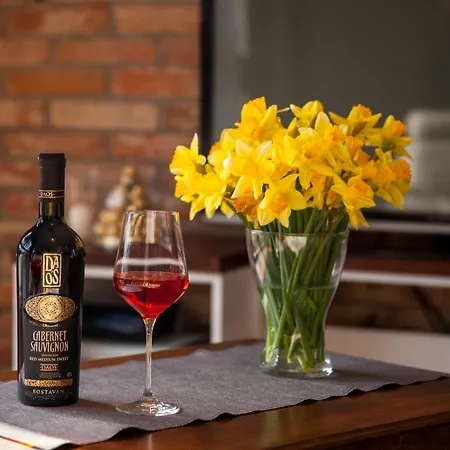 Panorama Gor - Centrum Miasta Z Widokiem Na Szrenice Schreiberhau