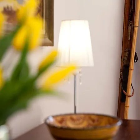 Panorama Gor - Centrum Miasta Z Widokiem Na Szrenice * Sklářská Poruba