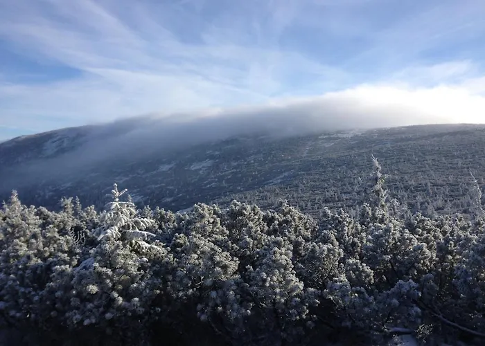Panorama Gor - Centrum Miasta Z Widokiem Na Szrenice